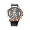 Traveler Series Watch