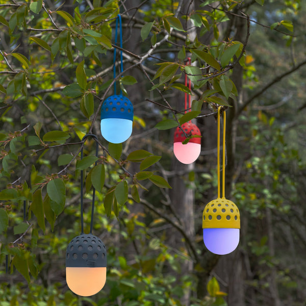 Firefly Speaker